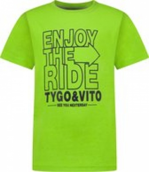 Enjoy the ride  Green Gecko