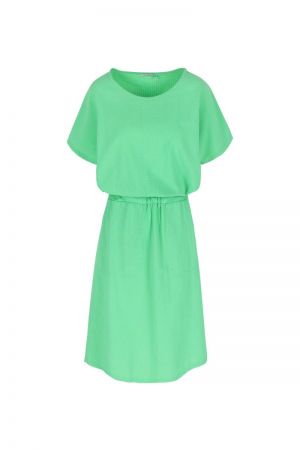plain color Groen